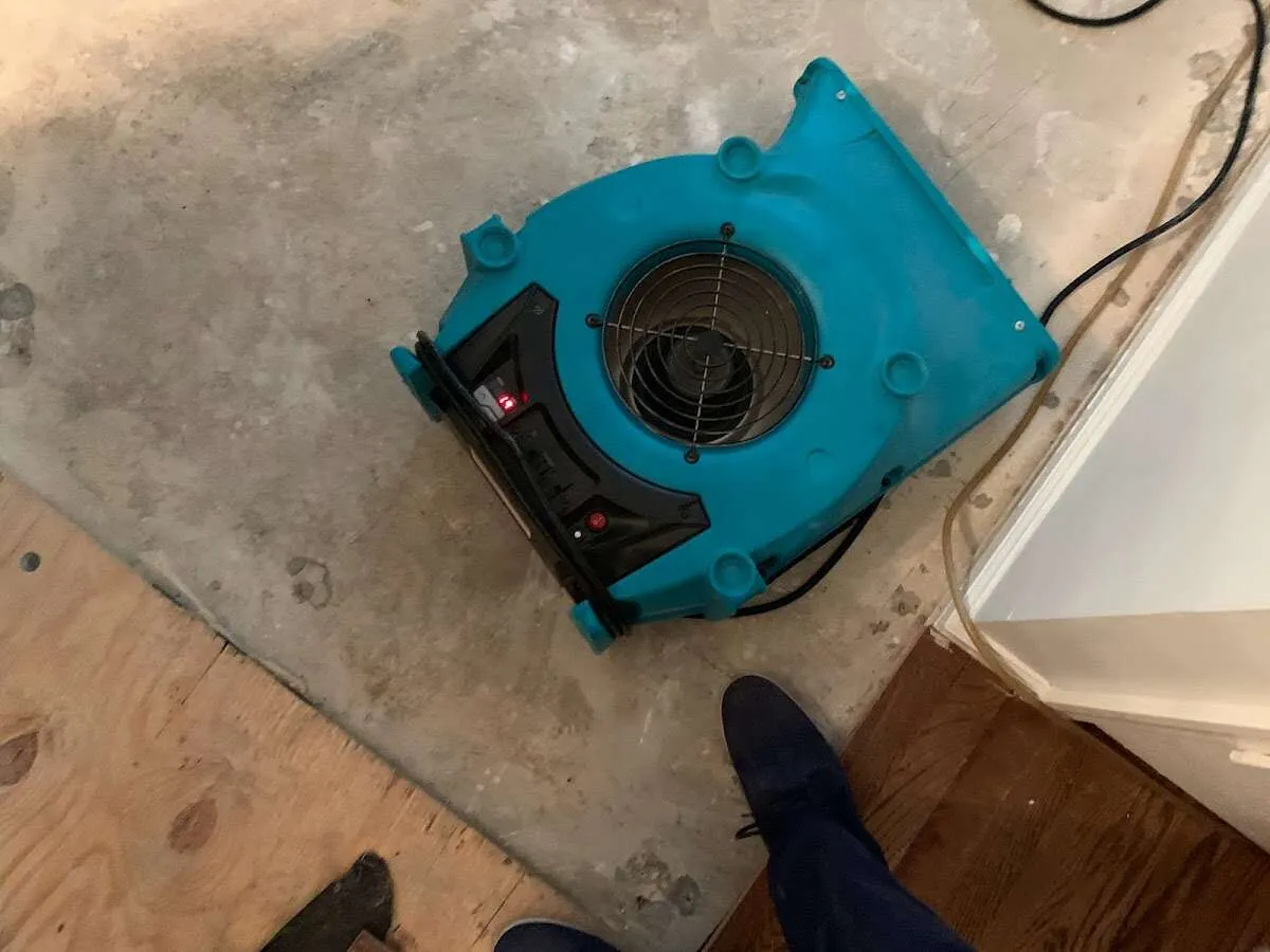 Air mover drying subfloor during Leak Detection & Repair in Petersburg